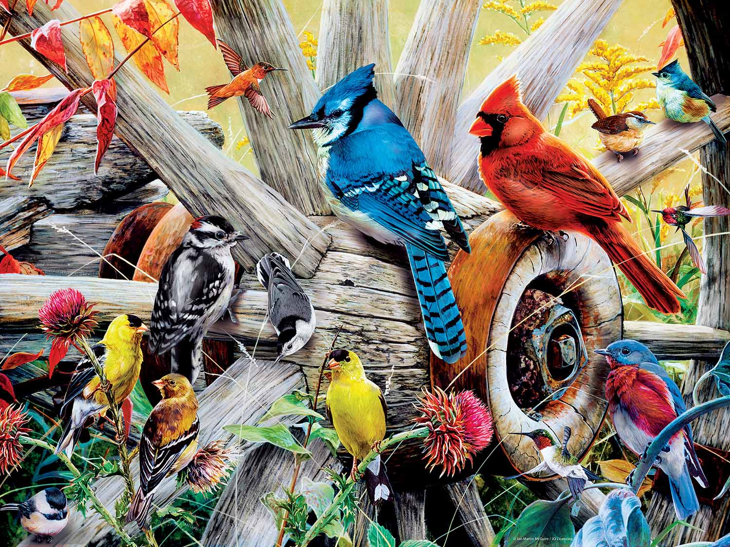 Audubon Backyard Birds Birds Jigsaw Puzzle