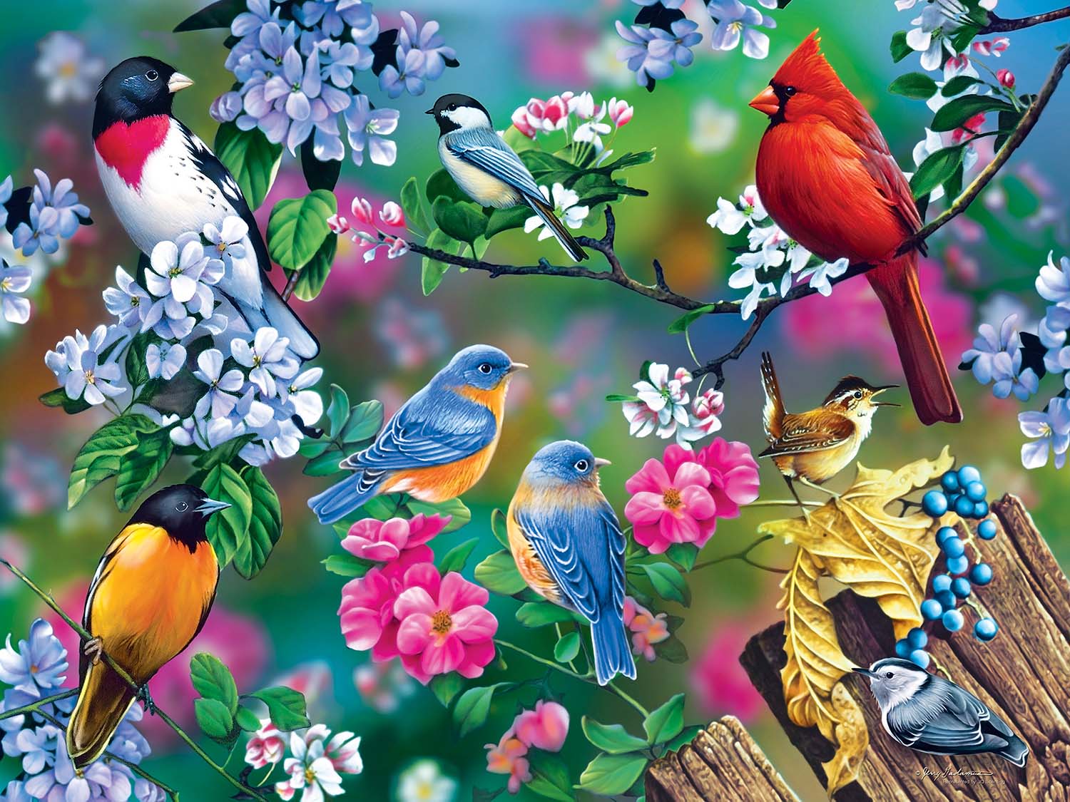 Audubon Songbird Collage Birds Jigsaw Puzzle