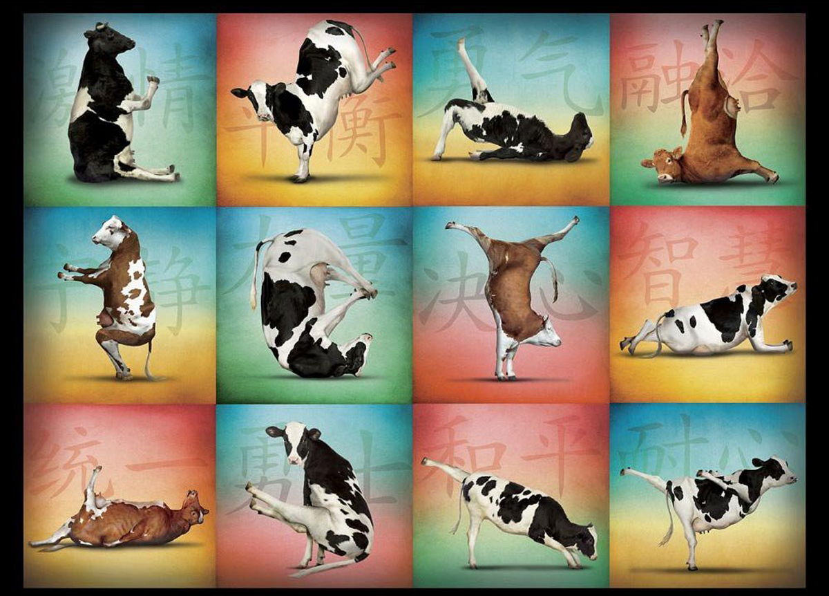 Cow Yoga Farm Animal Jigsaw Puzzle