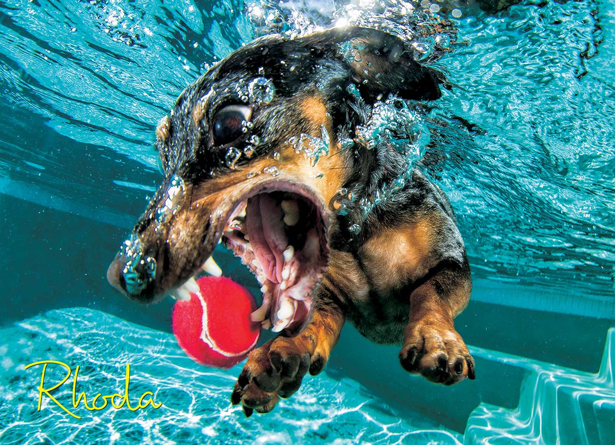 Underwater Dogs:  Rhoda Dogs Jigsaw Puzzle
