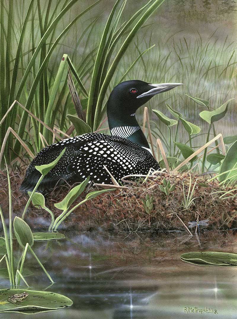 BRAND NEW LOON 48581 SYMBOL OF THE NORTH 1000 PIECE JIGSAW PUZZLE 