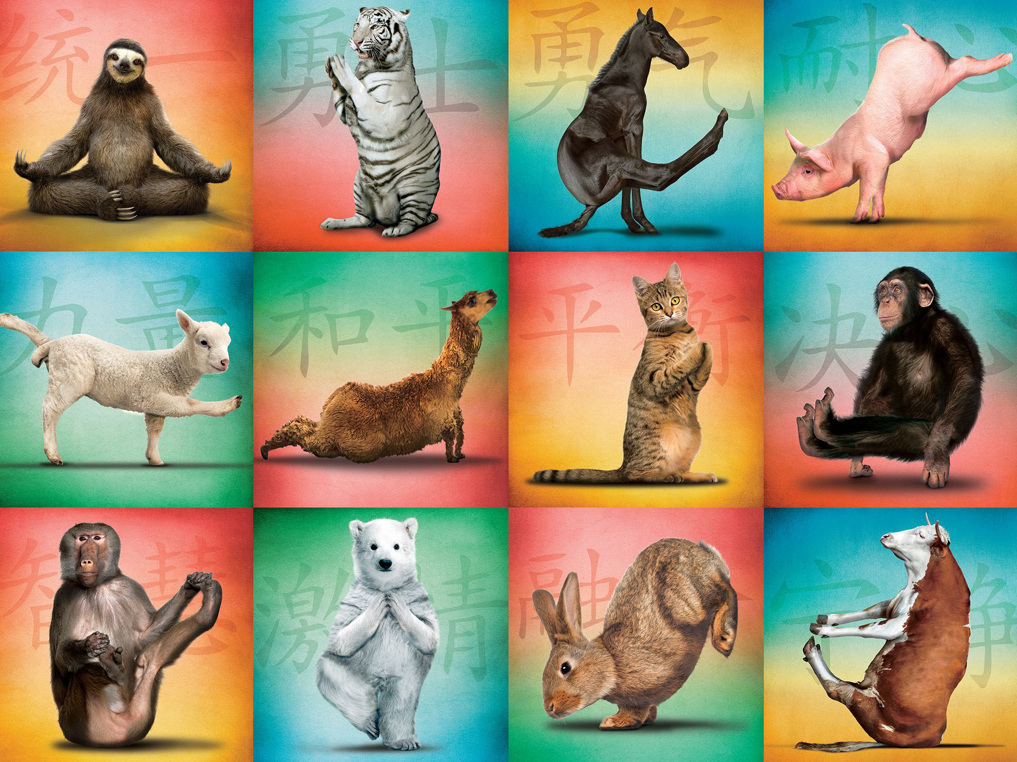 Animal Yoga Animals Jigsaw Puzzle