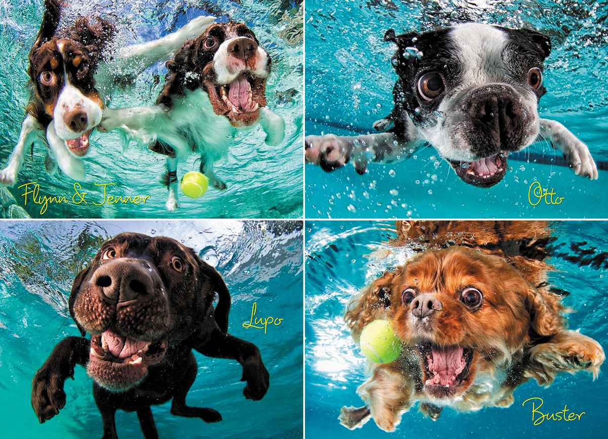 Underwater Dogs: Ruff Water