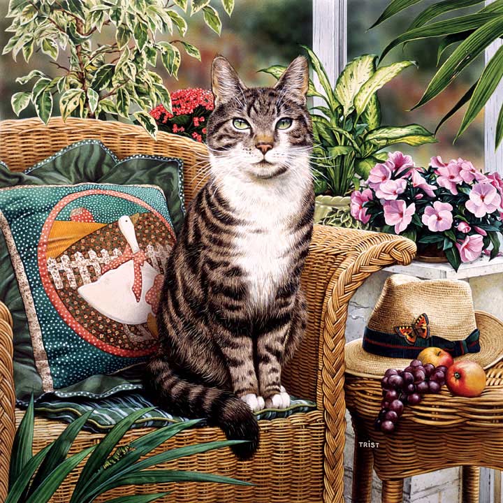 catology jigsaw puzzles