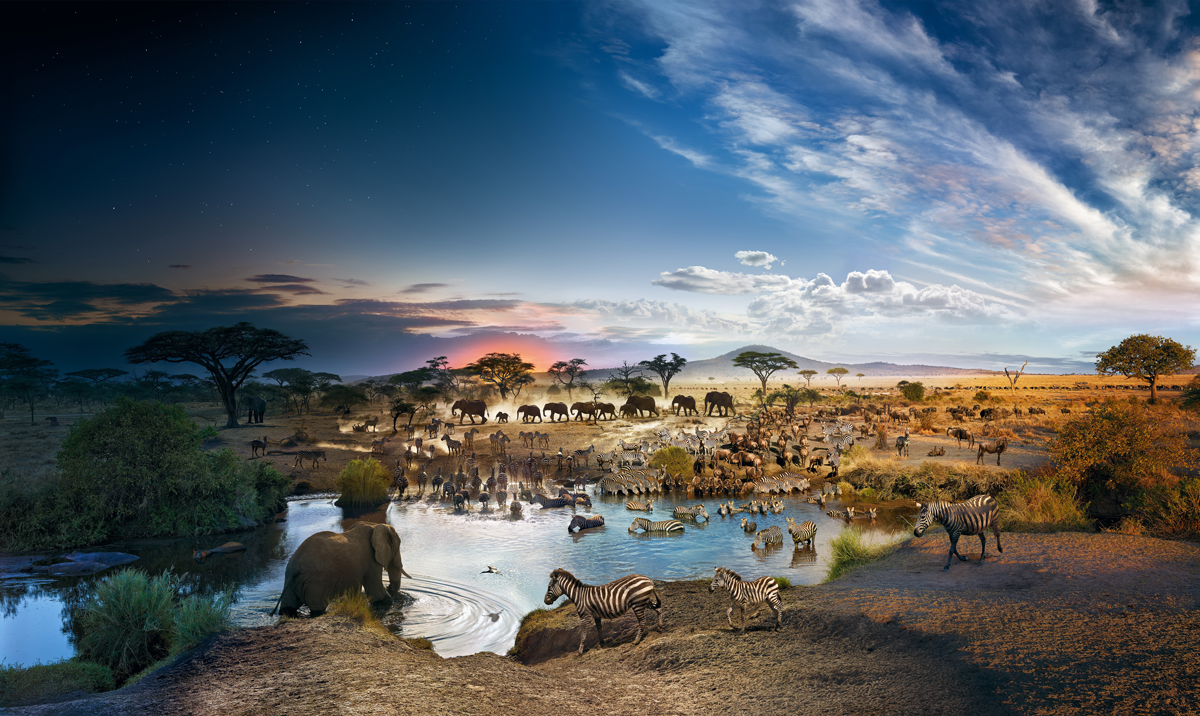 Serengeti National Park, Day to Night ™