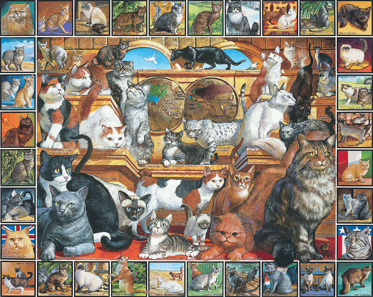 F is for Feline (Mystery Puzzle) Cats Multi-Pack By TDC Games
