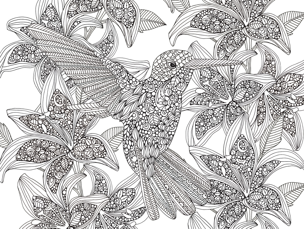 Hummingbirds Coloring Puzzle - Scratch and Dent