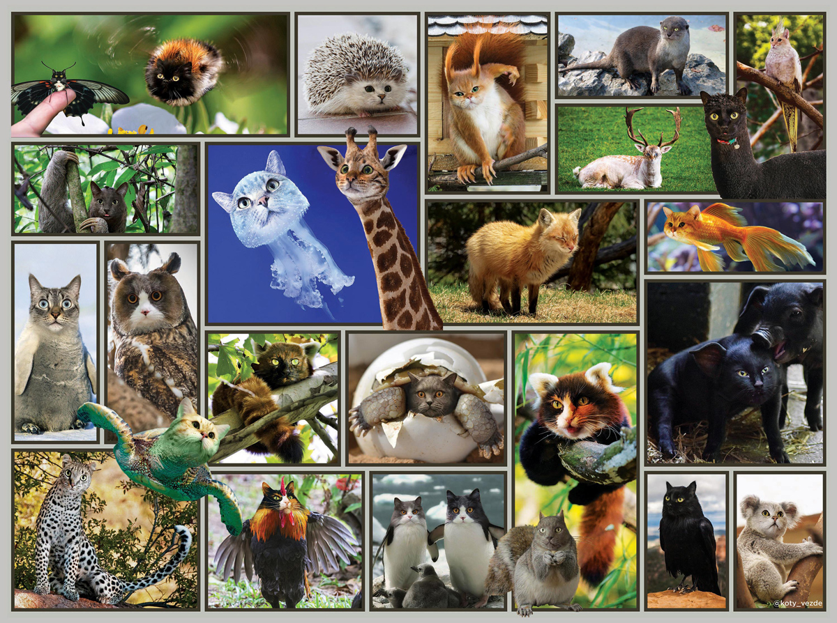 Cats Galore Cats Jigsaw Puzzle