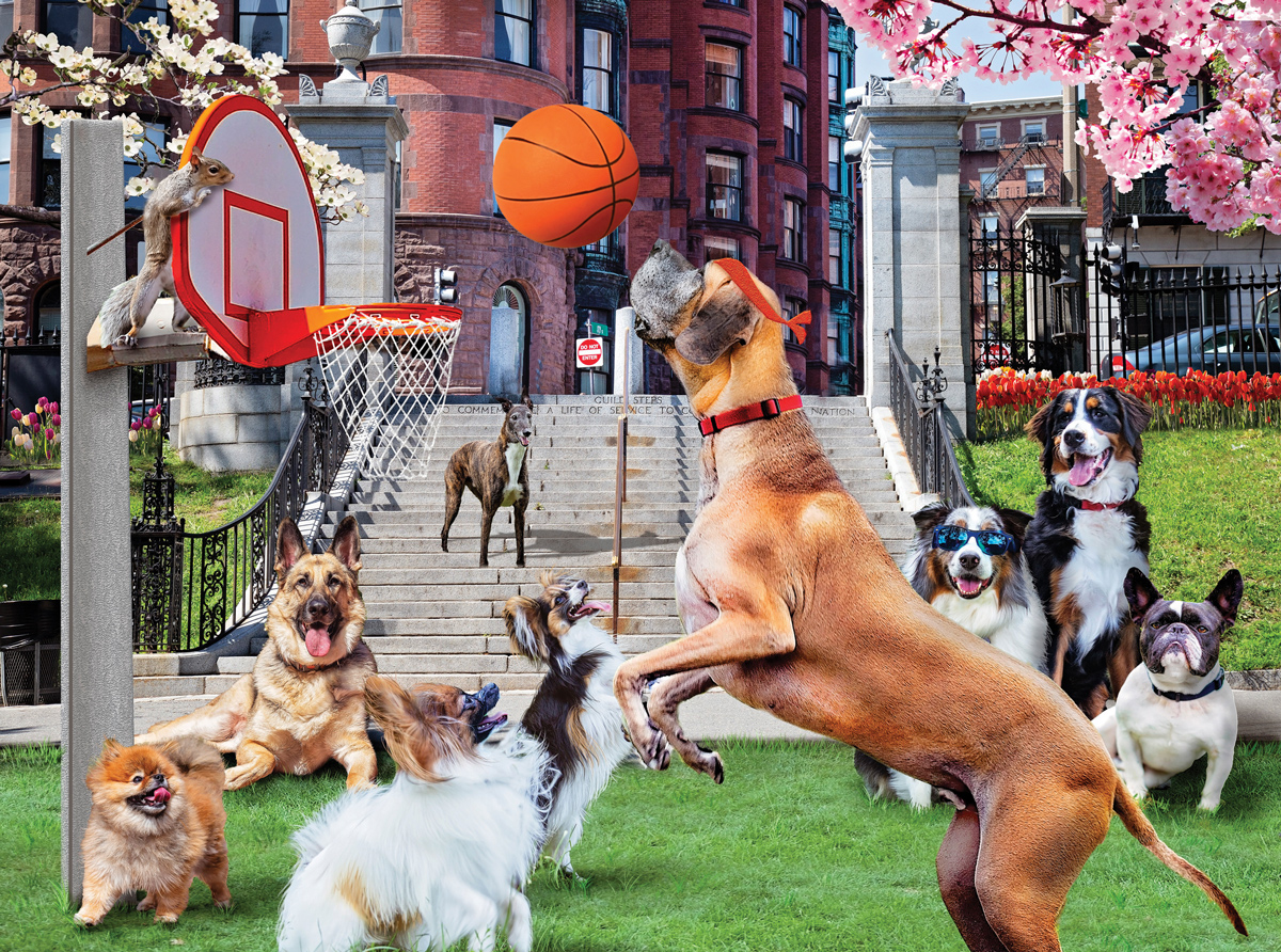Shooting Hoops Dogs Jigsaw Puzzle