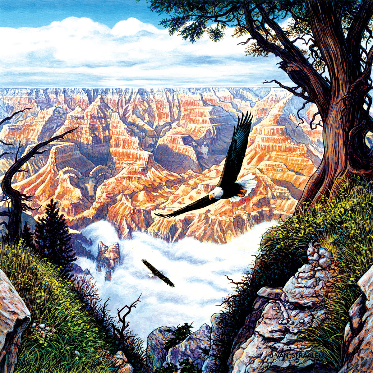 Guardians of the Canyon Eagles Jigsaw Puzzle