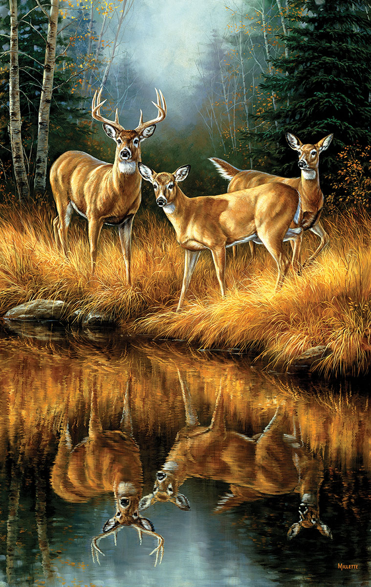 Whitetail Reflections Animals Jigsaw Puzzle