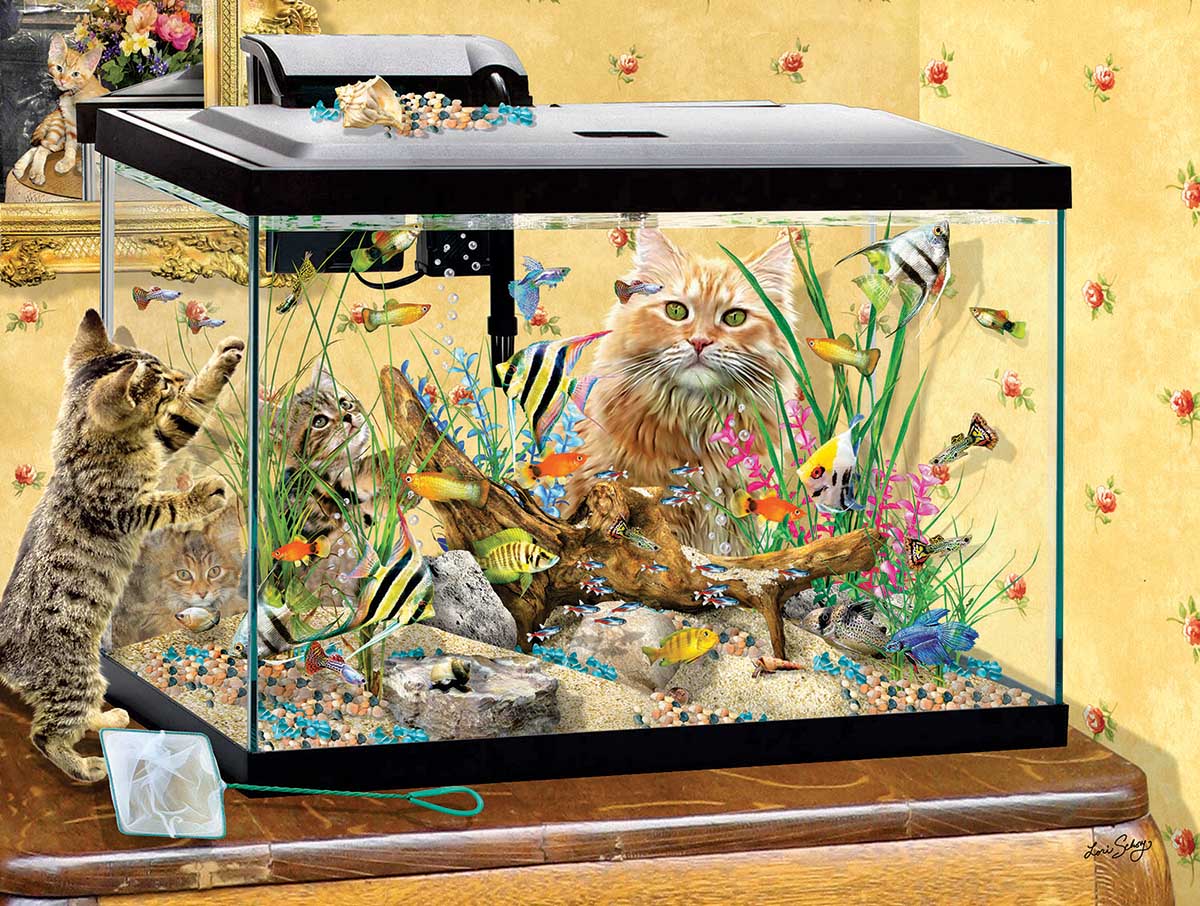 toy fish tank for cats