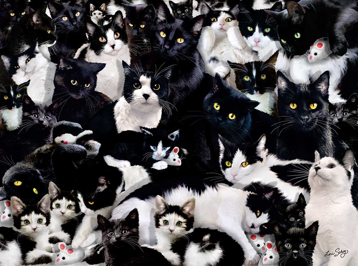 A Study in Black and White Cats Jigsaw Puzzle