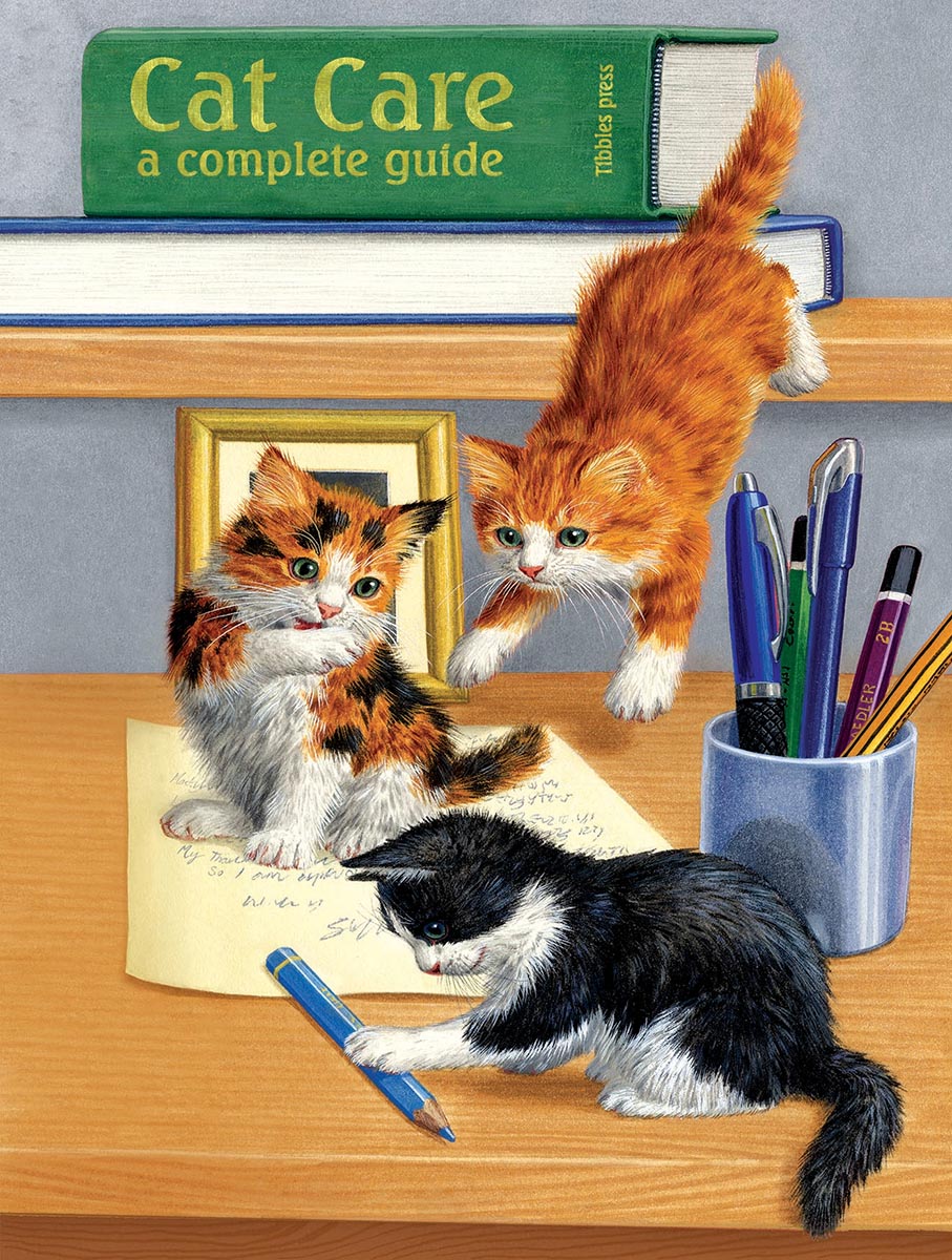 Cat Care - Scratch and Dent Cats Jigsaw Puzzle