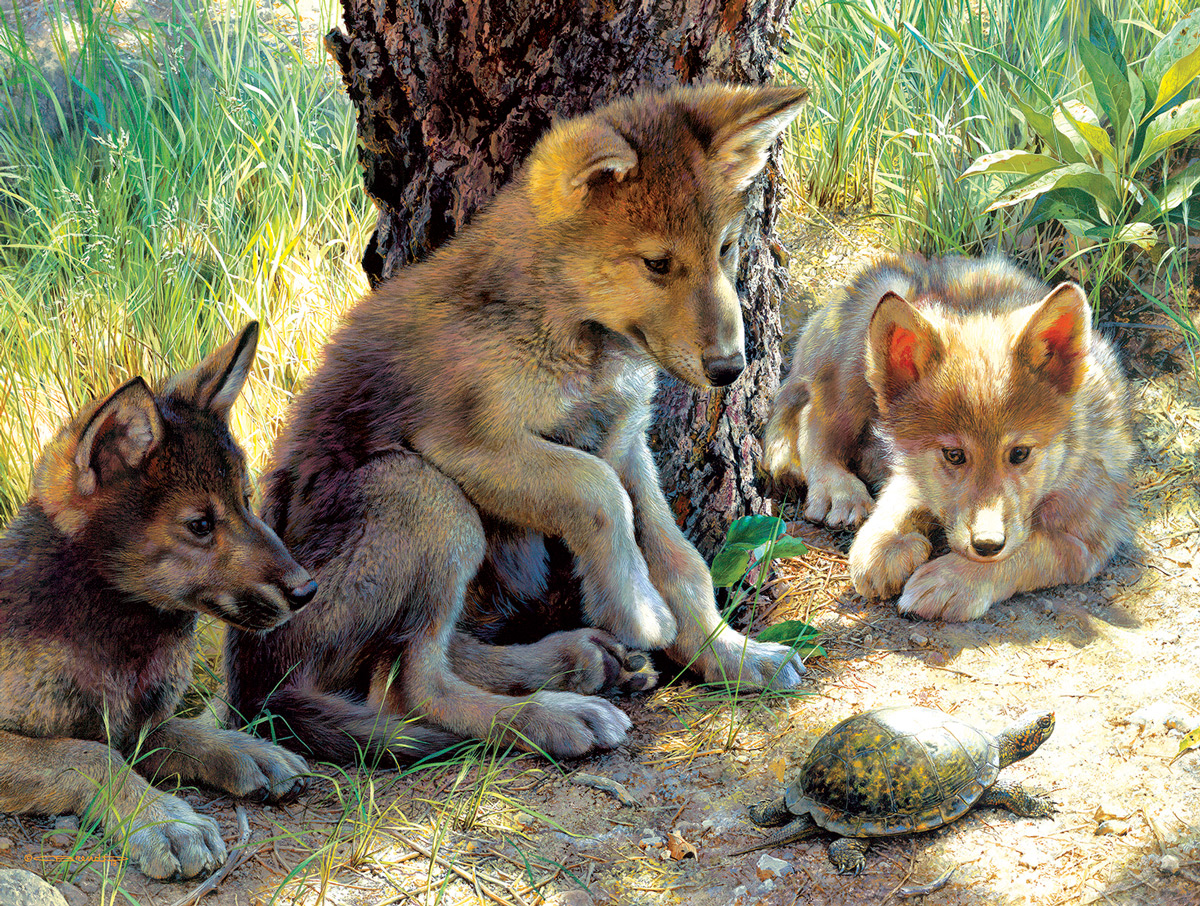 The Shell Game Wolves Jigsaw Puzzle
