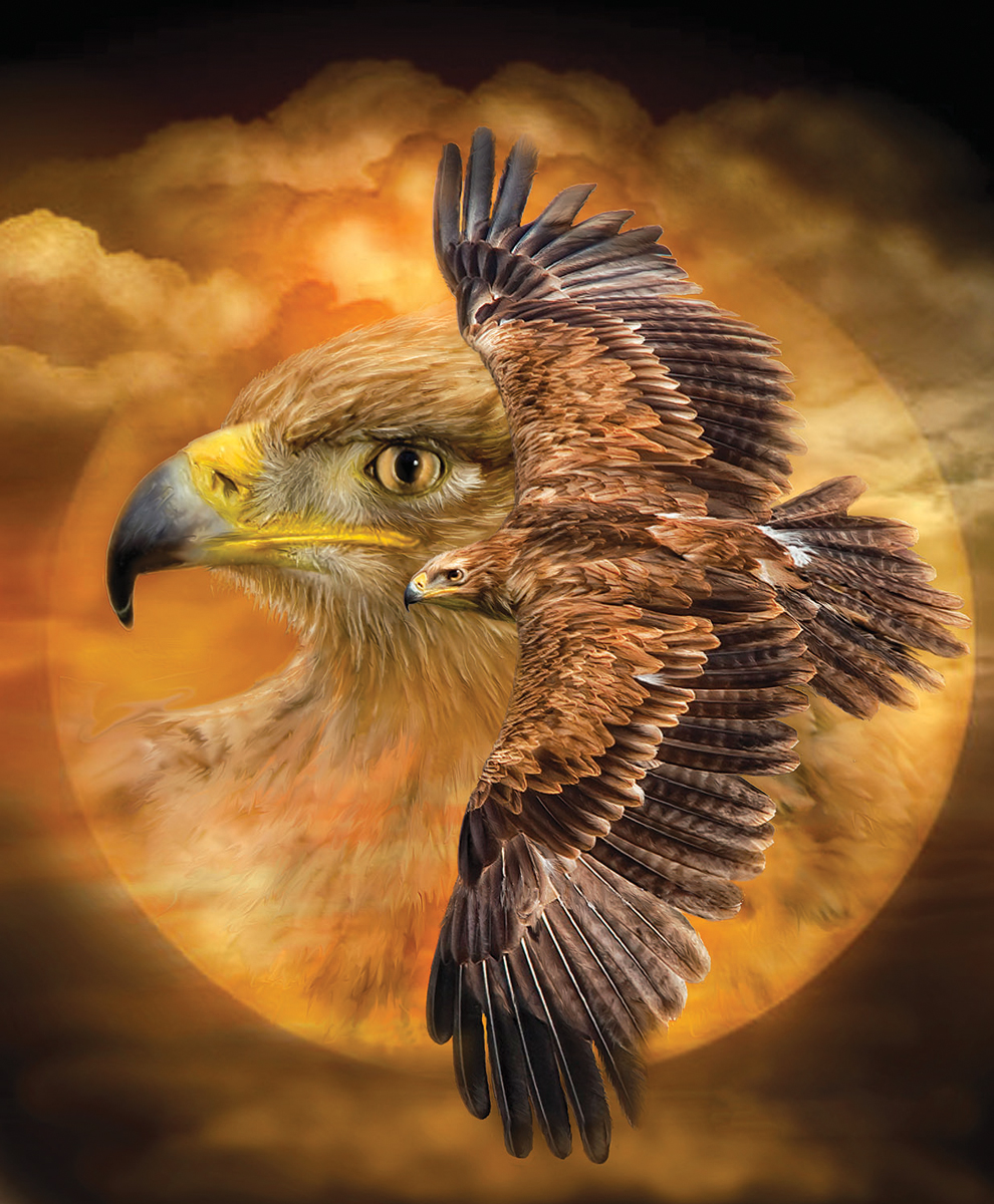 Spirit of the Wind Eagle Jigsaw Puzzle