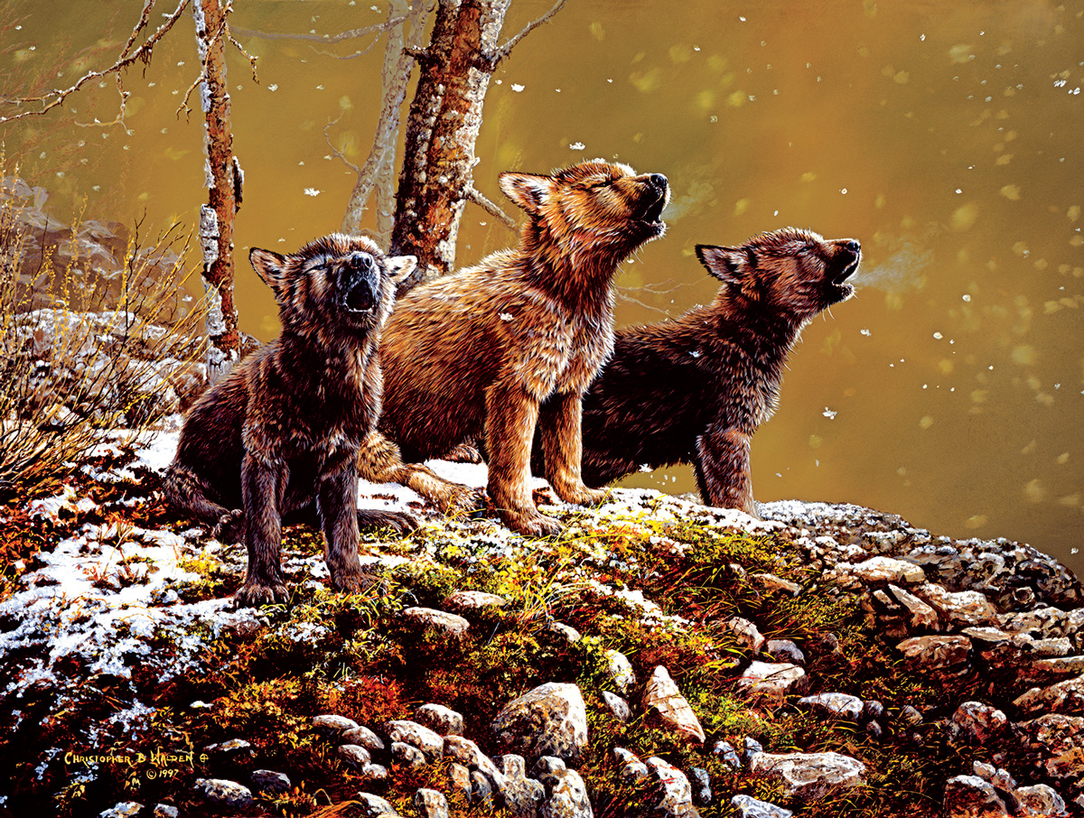 Nature's Song Wolf Jigsaw Puzzle