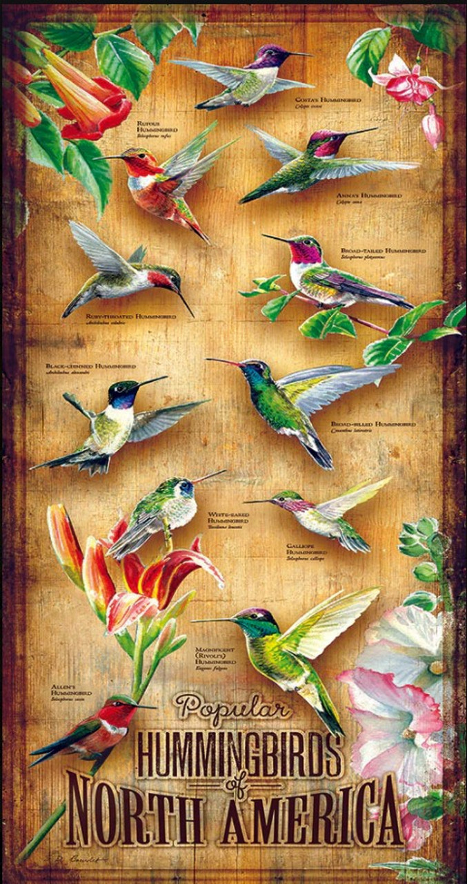 Hummingbirds of North America Birds Jigsaw Puzzle