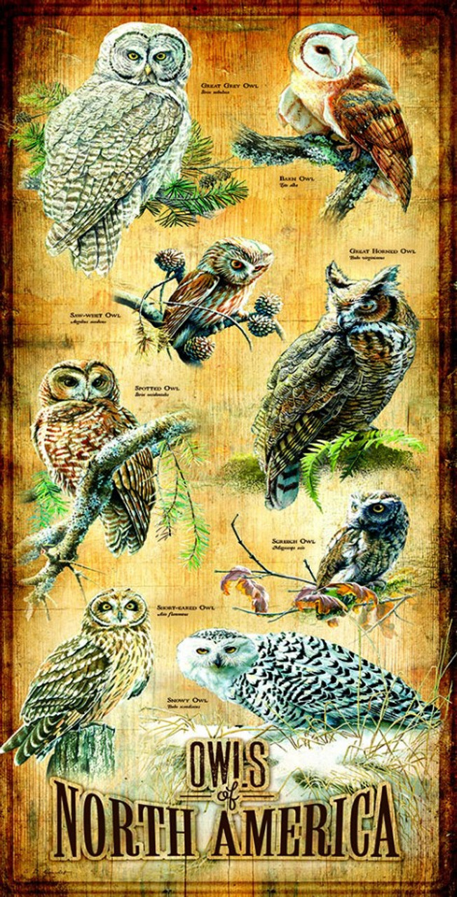 Owls of North America Birds Jigsaw Puzzle