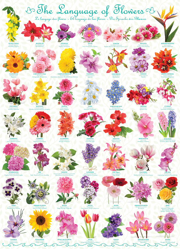 The Language of Flowers, 1000 Pieces, Eurographics | Puzzle Warehouse