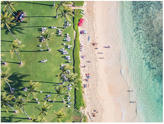 The Hawaii Beach Beach Jigsaw Puzzle