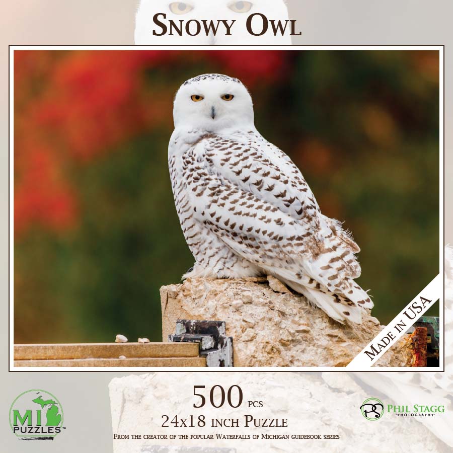 Snowy Owl Birds Jigsaw Puzzle
