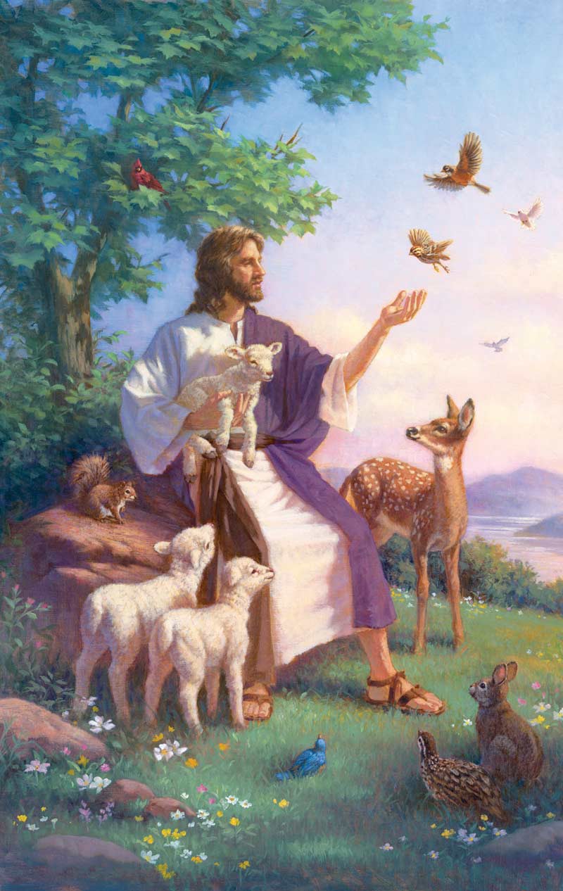 Come Unto Me - Scratch and Dent Animals Jigsaw Puzzle