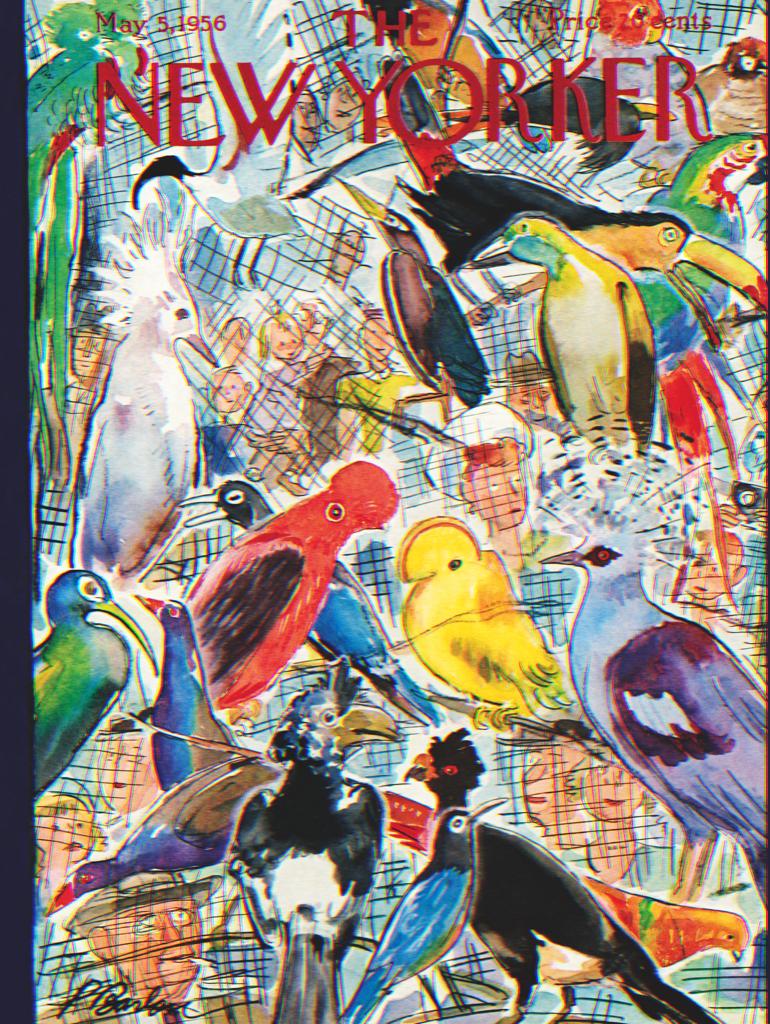 Bird Cage - Scratch and Dent Birds Jigsaw Puzzle