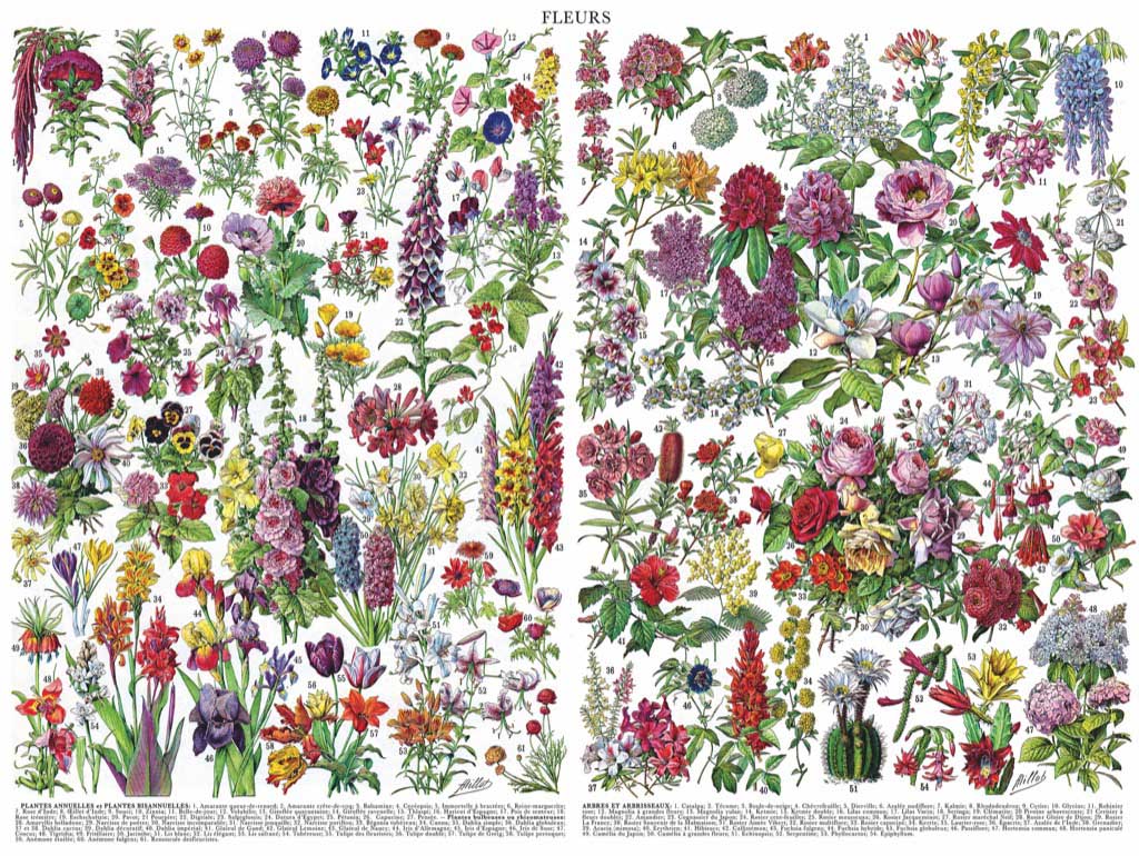 Flowers ~ Fleurs Flower & Garden Jigsaw Puzzle