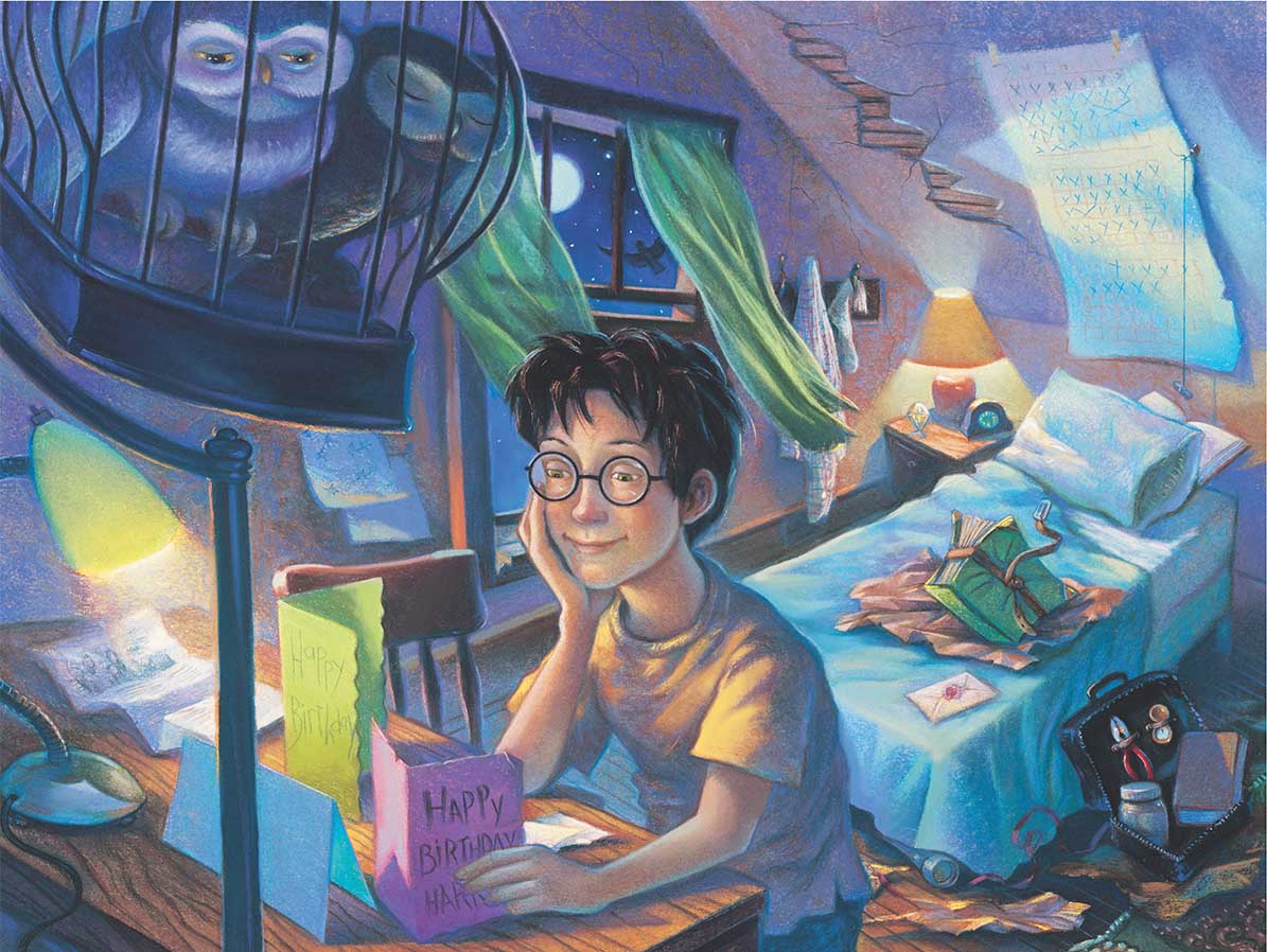 Counting the Days Harry Potter Jigsaw Puzzle