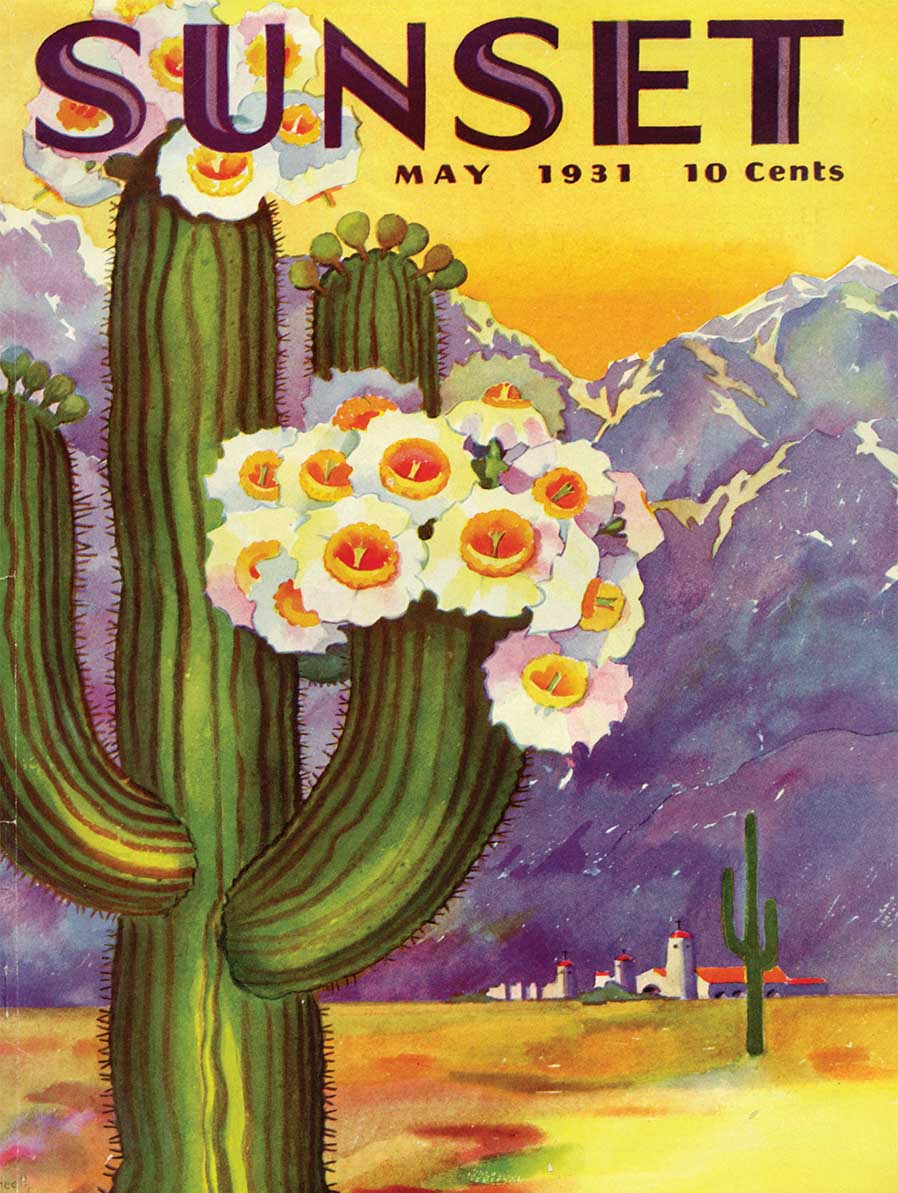 Cactus Blooms Flower & Garden Jigsaw Puzzle