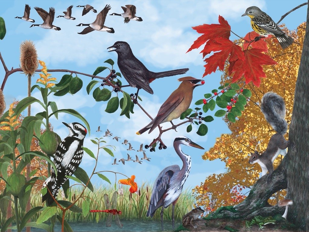 Autumn Trail Birds Jigsaw Puzzle