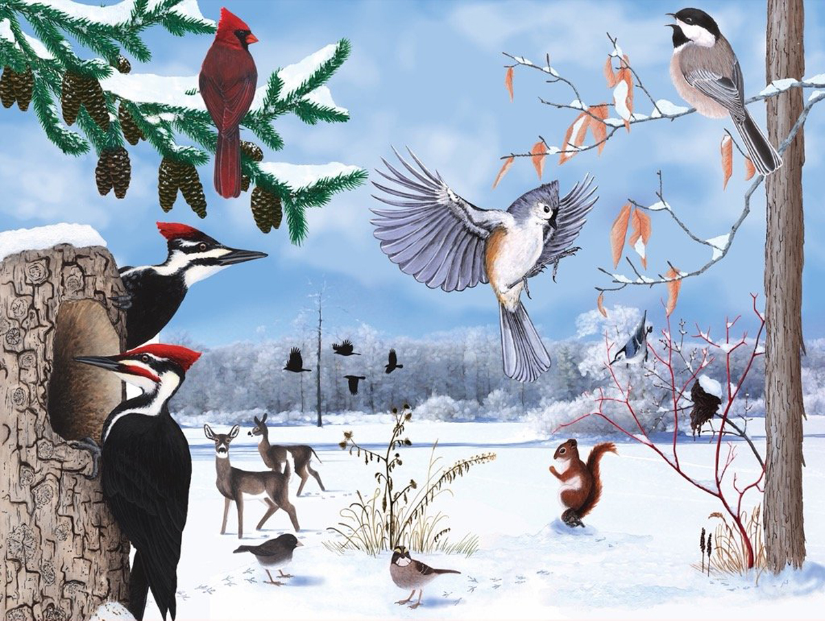 Winter Trail Birds Jigsaw Puzzle