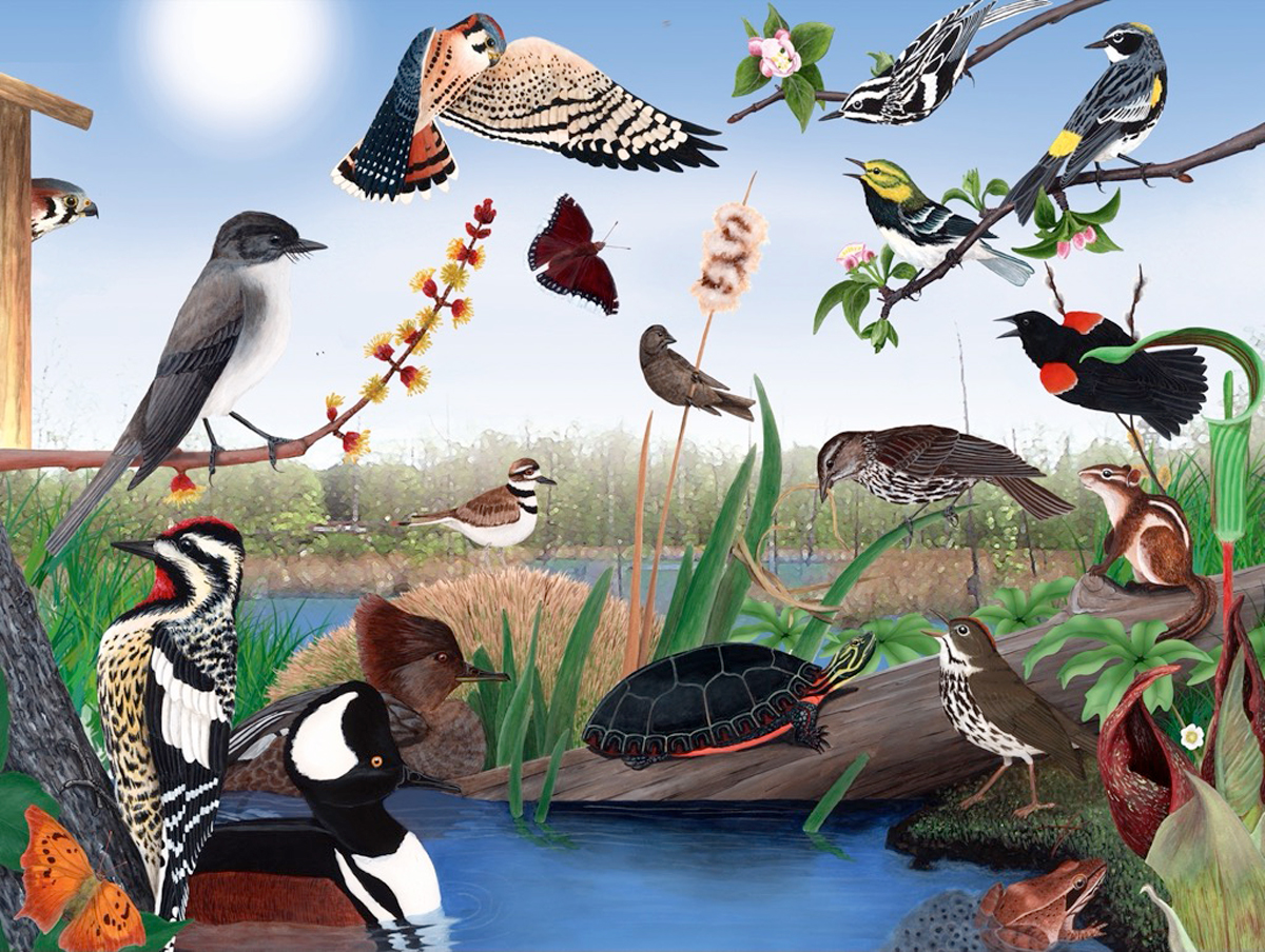 Spring Trail Birds Jigsaw Puzzle