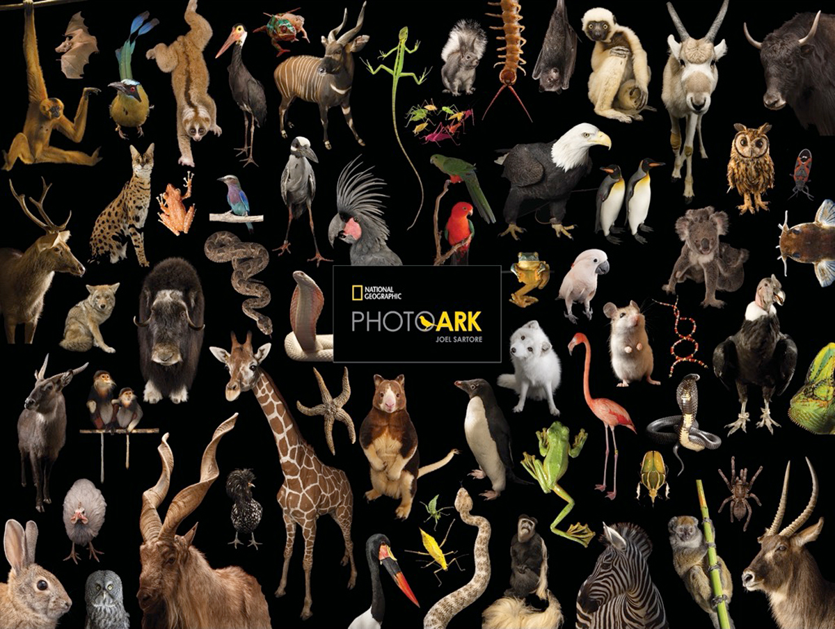 Photo Ark Greatest Hits Animals Jigsaw Puzzle