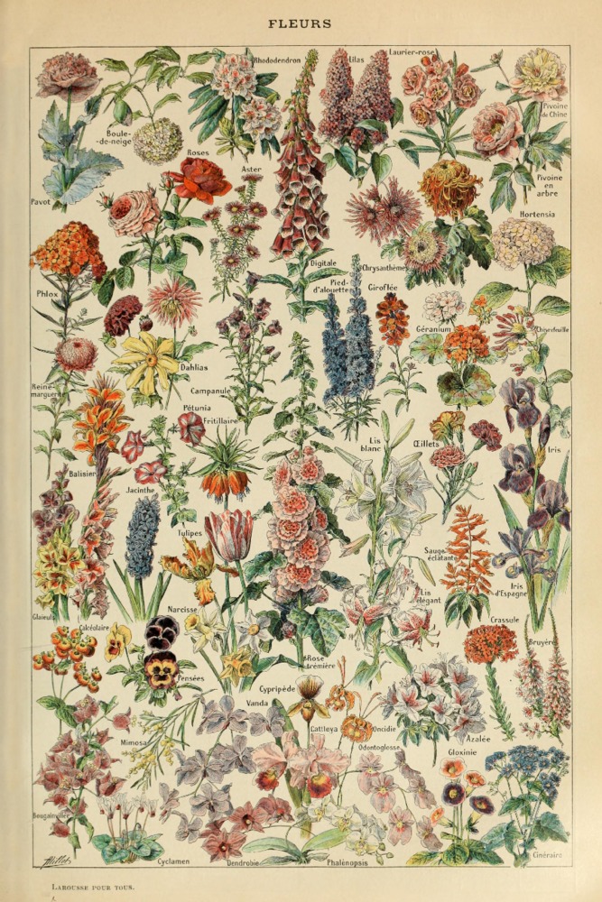 Assorted Flowers Flower & Garden Jigsaw Puzzle