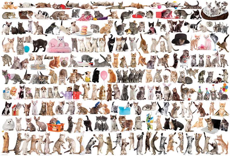 The World of Cats Animals Jigsaw Puzzle
