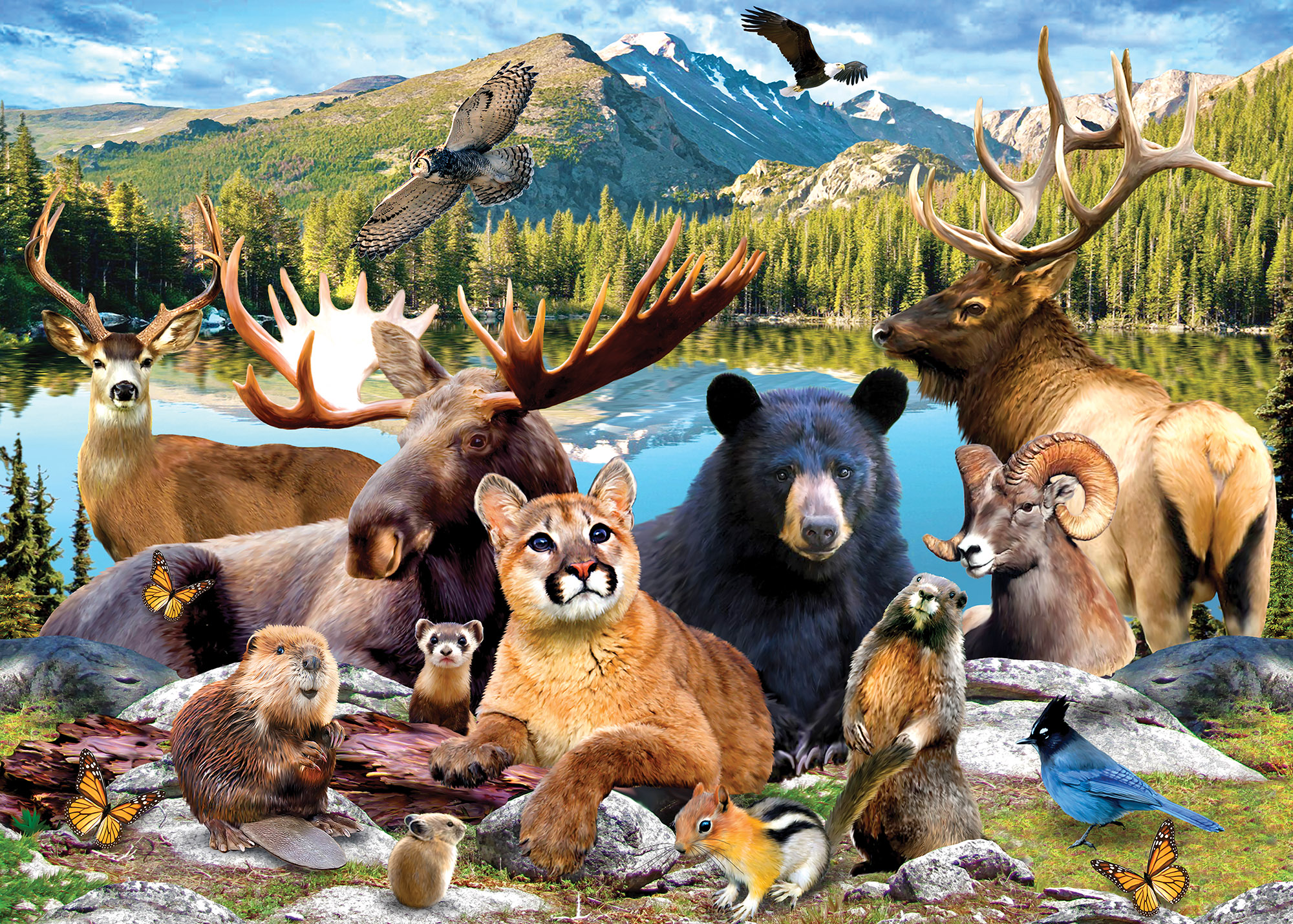 Rocky Mountain National Parks Jigsaw Puzzle