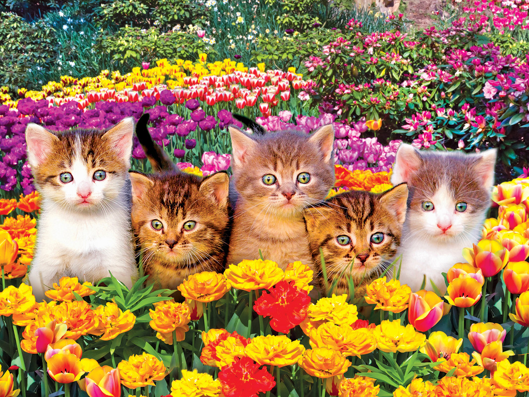 Kodak 550 - Cute Kittens on the Grass Animals Jigsaw Puzzle