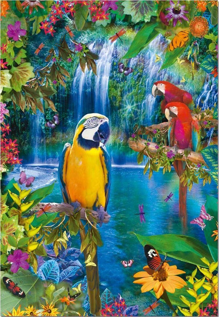 Bird Tropical Land Birds Jigsaw Puzzle