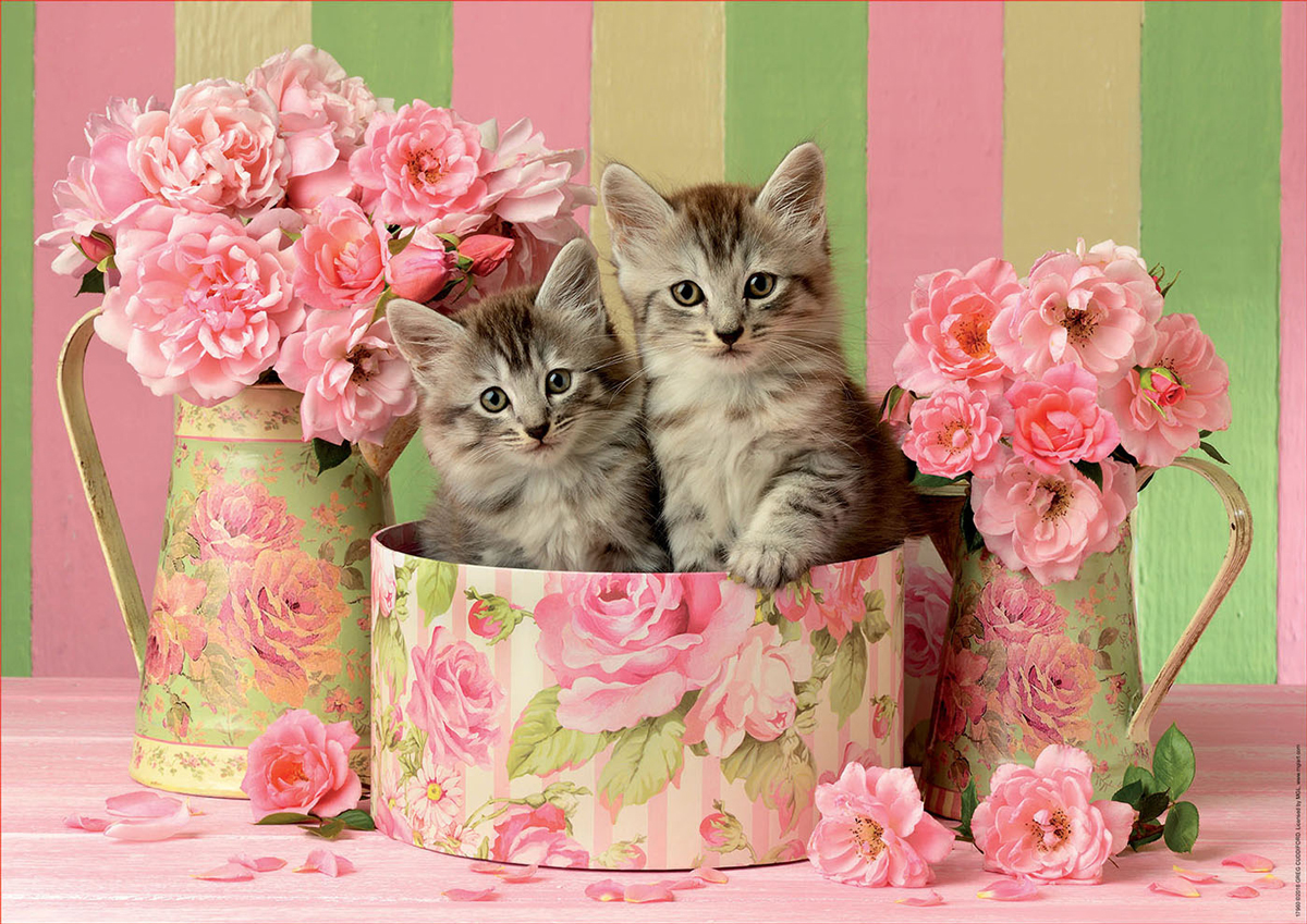 Kittens With Roses - Scratch and Dent Cats Jigsaw Puzzle