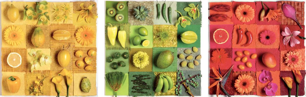 Exotic Fruits and Flowers Flower & Garden Jigsaw Puzzle
