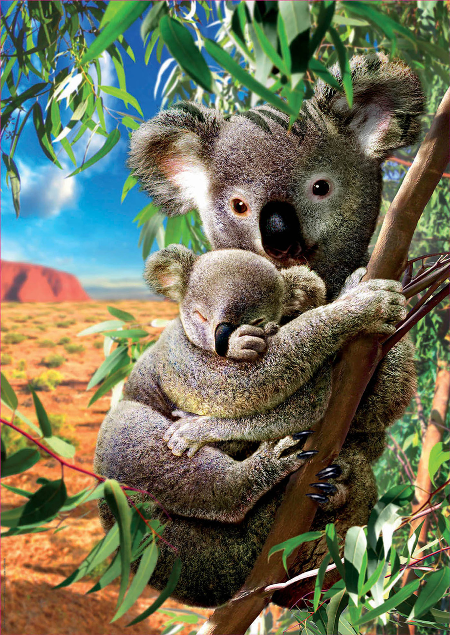 Koala and Cub Animals Jigsaw Puzzle
