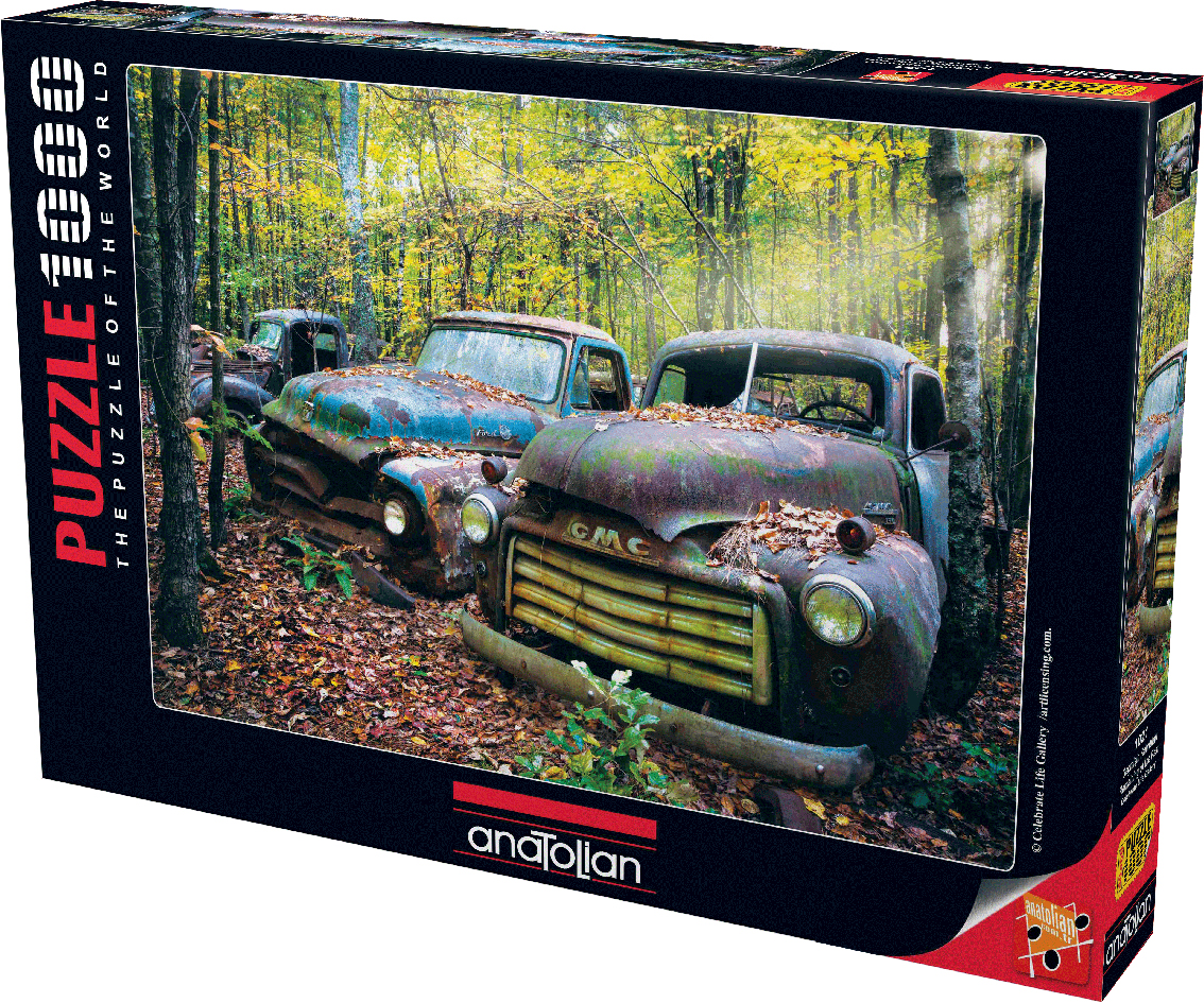 Remaining of the Past Vehicles Jigsaw Puzzle