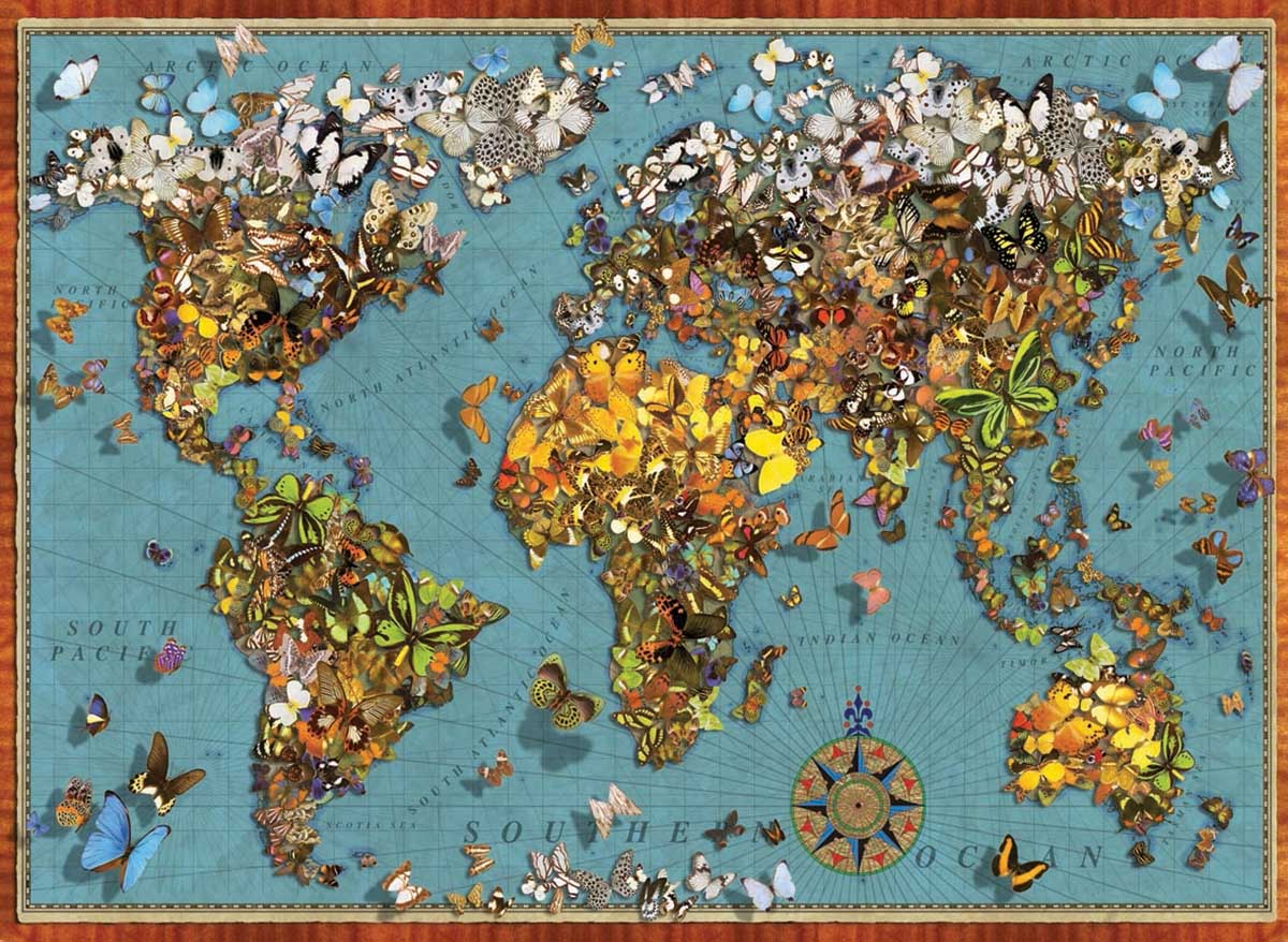 Butterfly World Map - Scratch and Dent