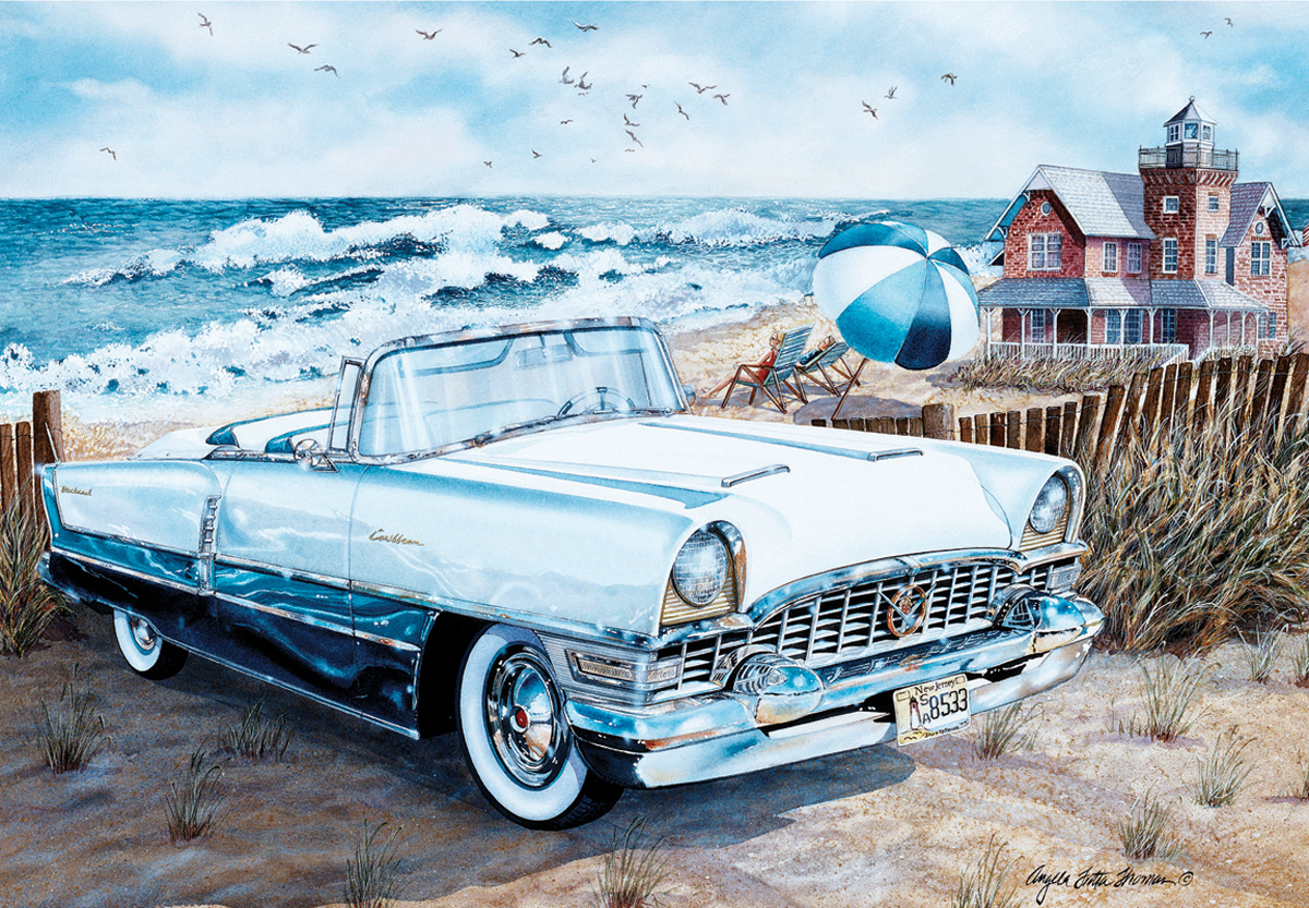 Endless Summer - Scratch and Dent Car Jigsaw Puzzle