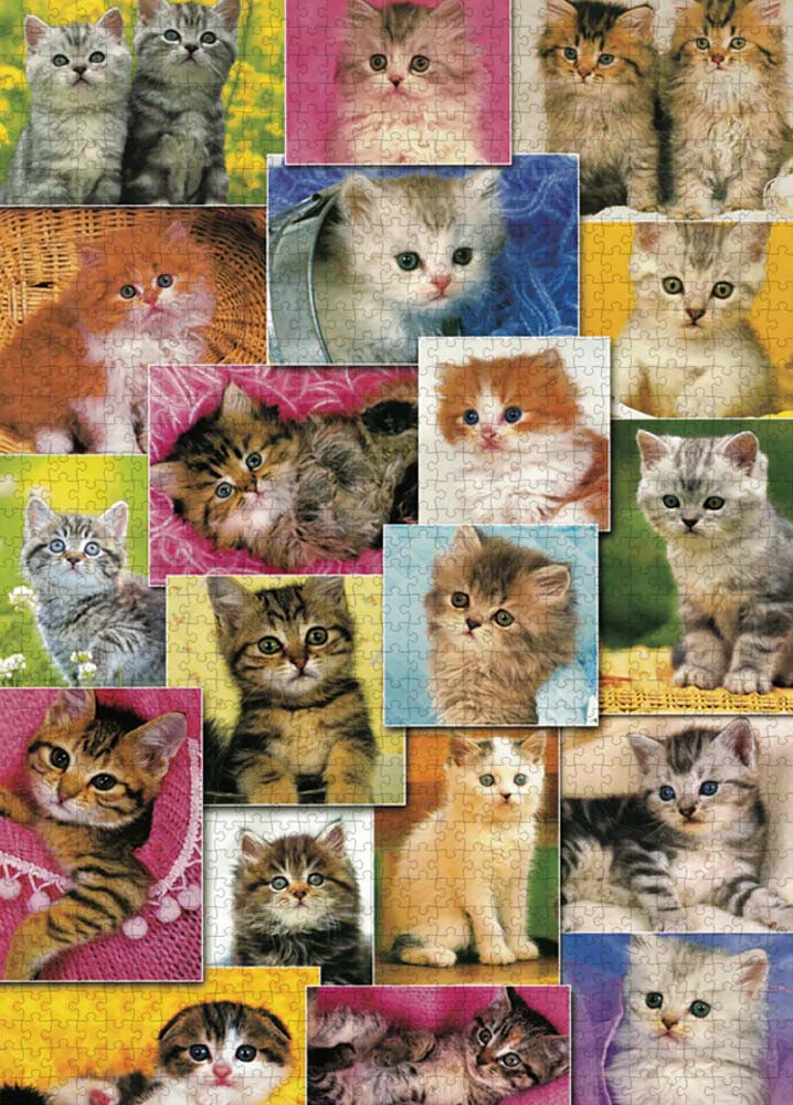 A Happy Cat 1000 Piece Jigsaw Puzzle by Goodway Puzzles