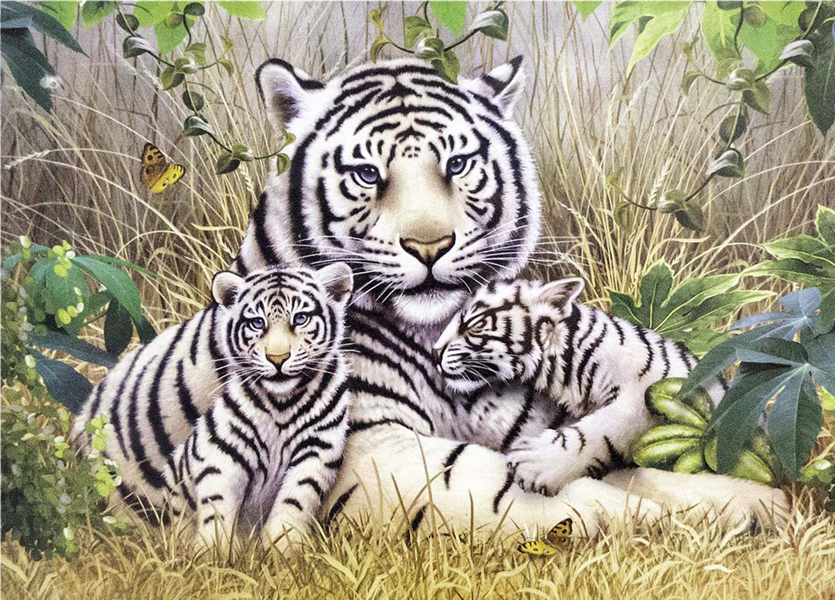 White Tiger Family 3 1000 Piece Puzzle