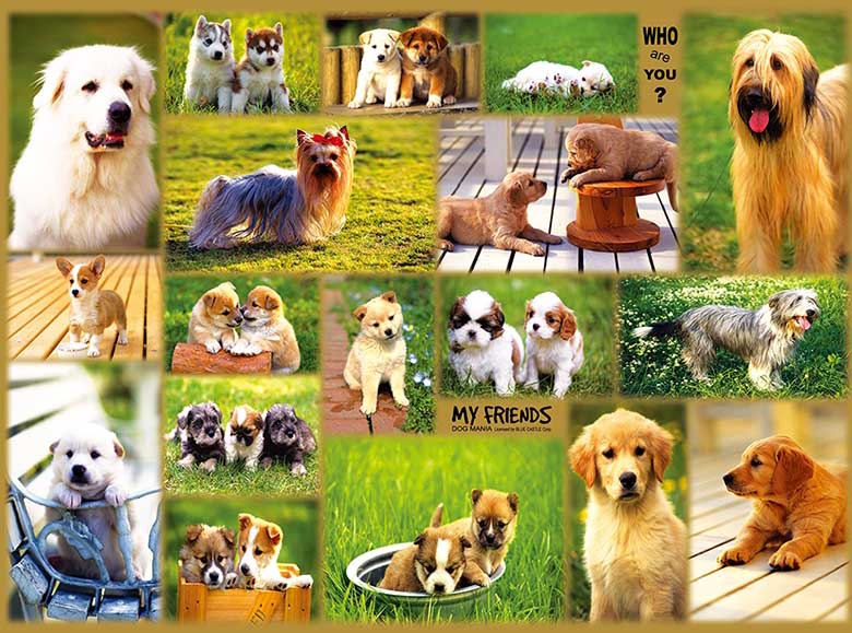 My Friends Dogs Jigsaw Puzzle