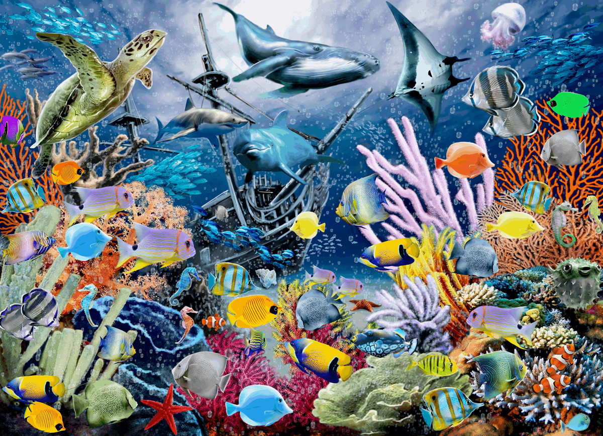 Colourful Marine - Scratch and Dent Sea Life Jigsaw Puzzle